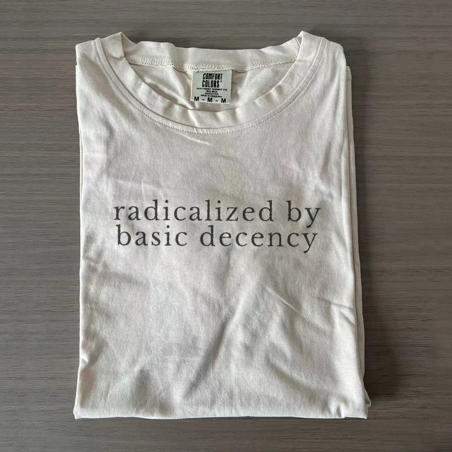 Radicalized By Basic Decency Feminist T-shirts