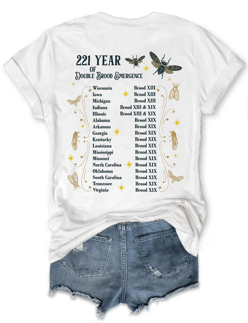 The Cicadas Reunion Tour Summer 2024 Tee